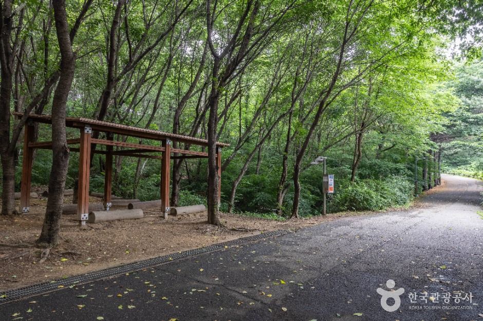 인천_대학공원 (6)