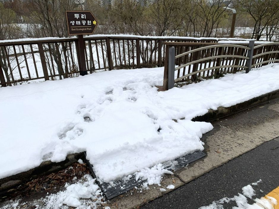 두리생태공원_중간 출입로 경사로