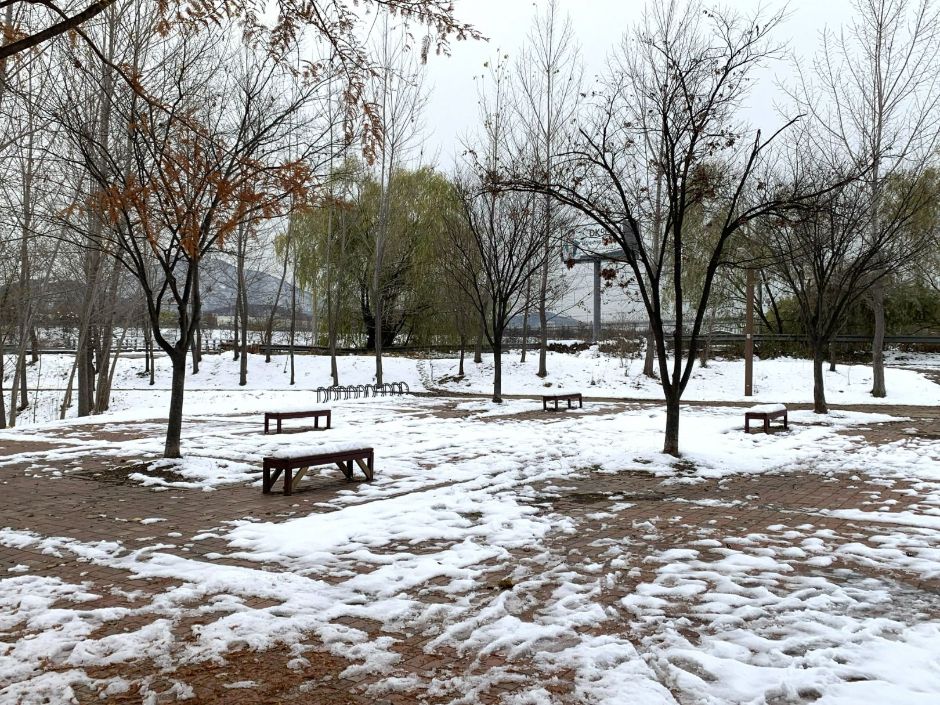 두리생태공원_휴게 의자