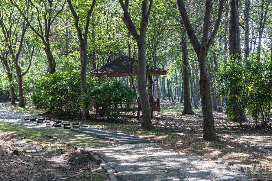 인천_드림파크 주민체육공원 (12)