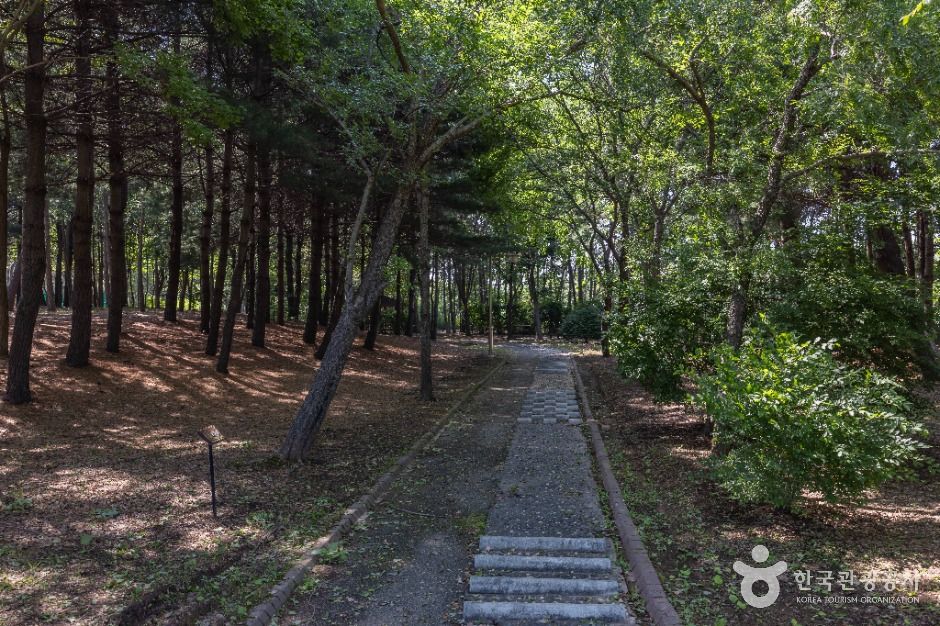 인천_드림파크 주민체육공원 (13)