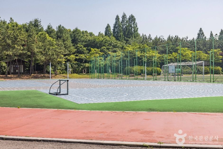 인천_드림파크 주민체육공원 (5)