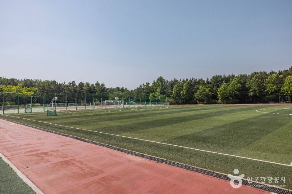 인천_드림파크 주민체육공원 (8)