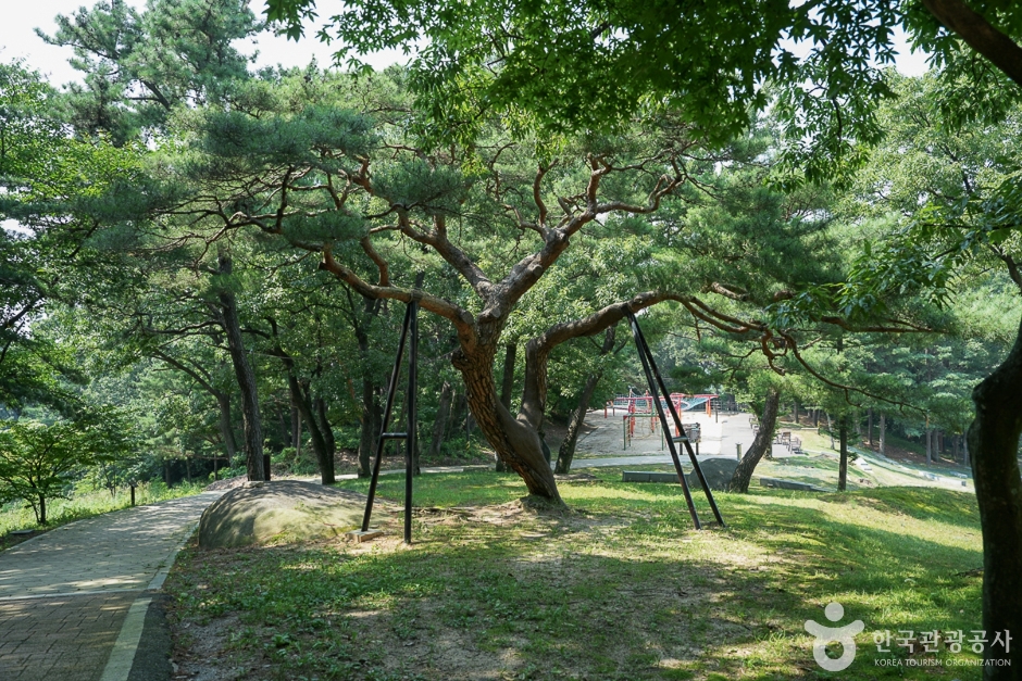 마니산국민관광지(14)