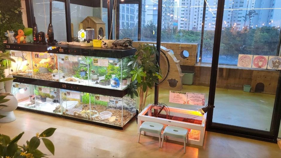 인천_마리앤쥬 (2)