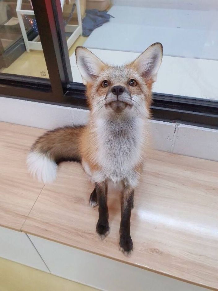 인천_마리앤쥬 (12)