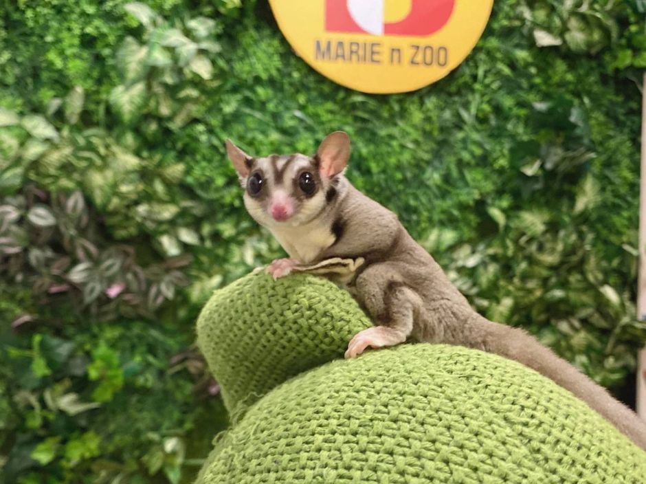 인천_마리앤쥬 (14)