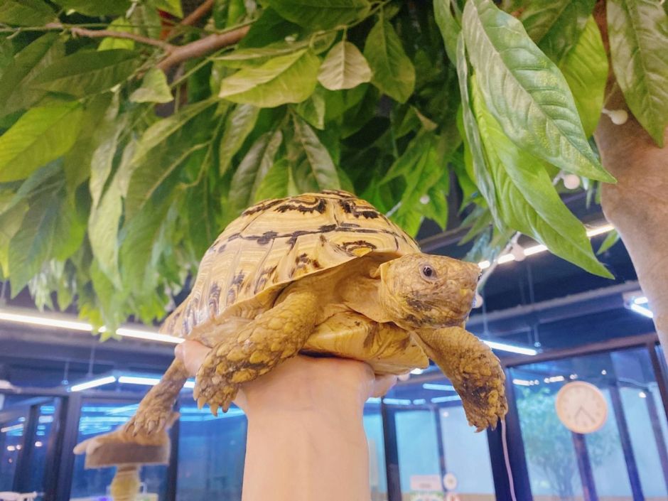 인천_마리앤쥬 (15)