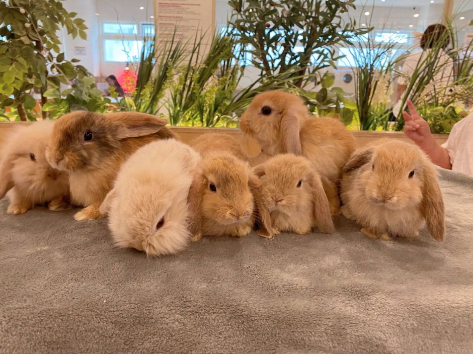 인천_마리앤쥬 (20)