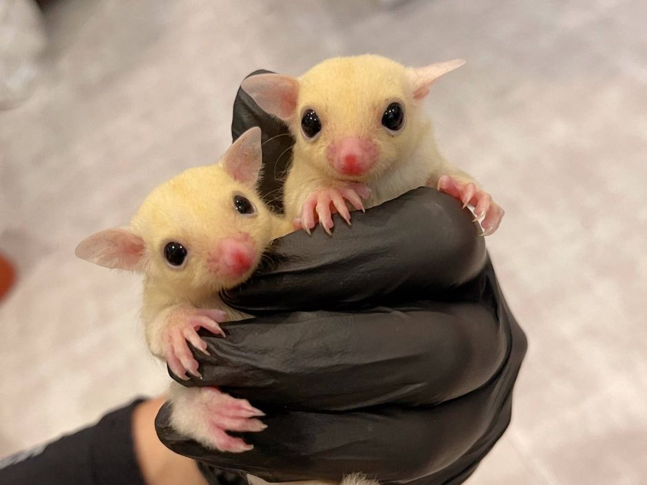 인천_마리앤쥬 (23)