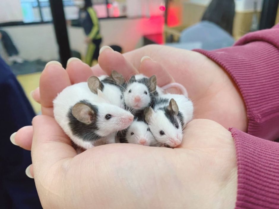 인천_마리앤쥬 (25)