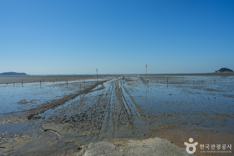 N02092_인천_중구_마시안갯벌체험장(7)