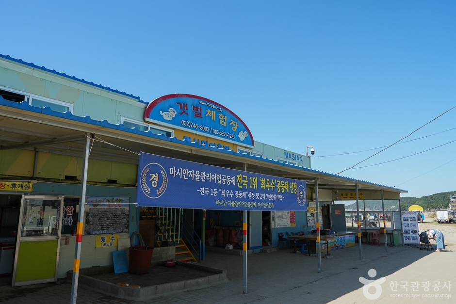 N02092_인천_중구_마시안갯벌체험장(14)