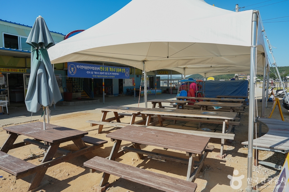 N02092_인천_중구_마시안갯벌체험장(15)