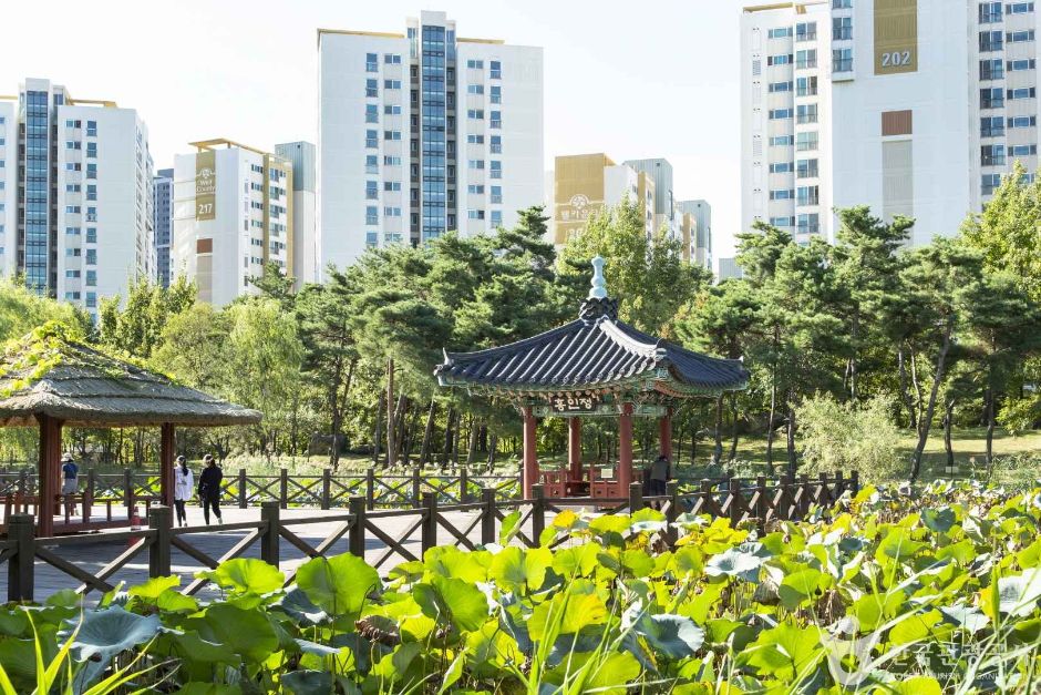 인천_미추홀공원 (7)