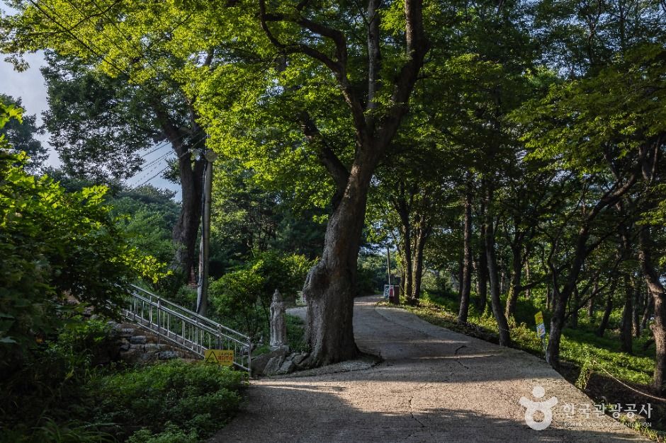 강화_백련사(강화) (4)