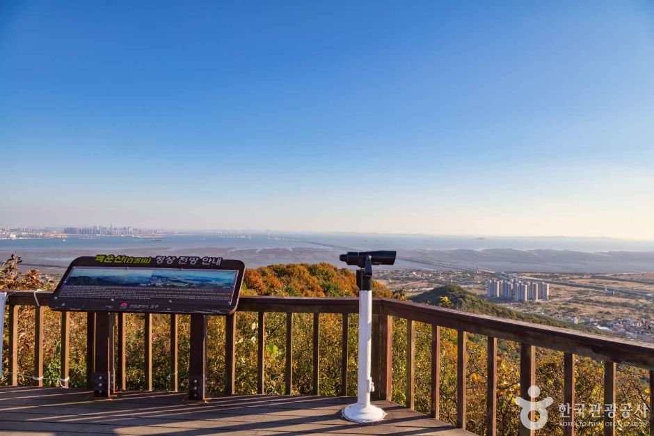 백운산전망대 (9)