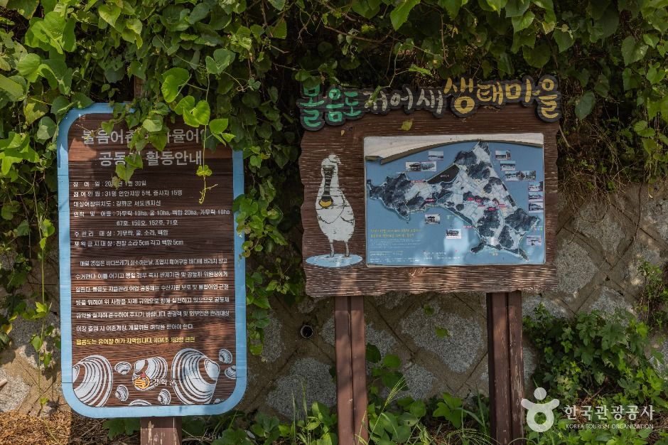 강화_볼음도(저어새 생태마을) (8)