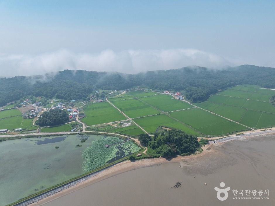 강화_볼음도(저어새 생태마을) (12)