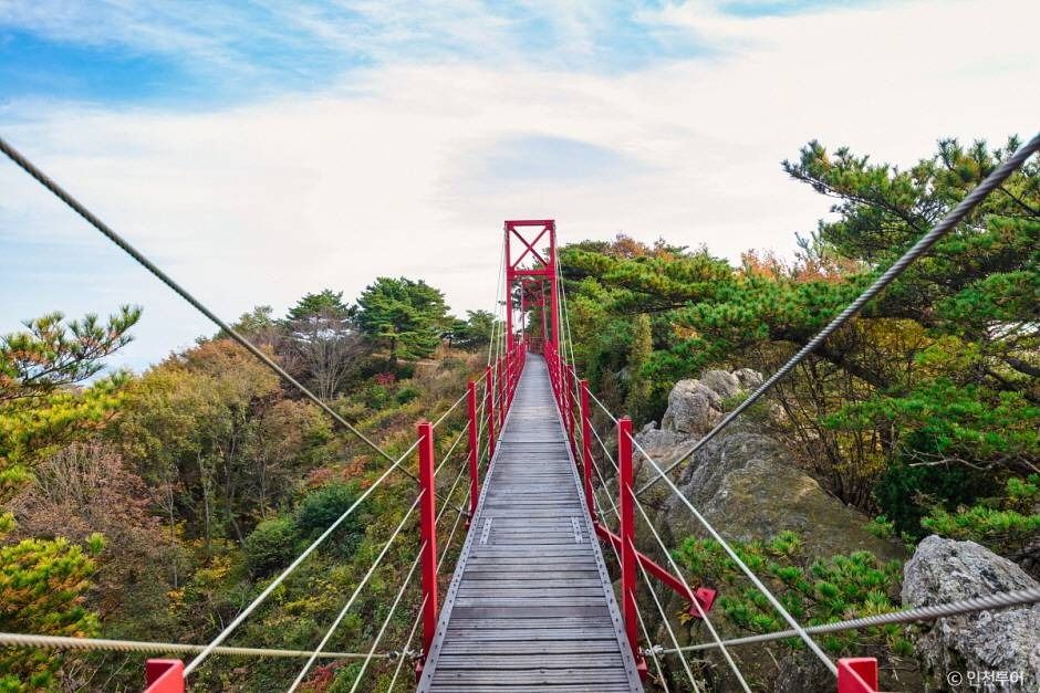 부아산 구름다리