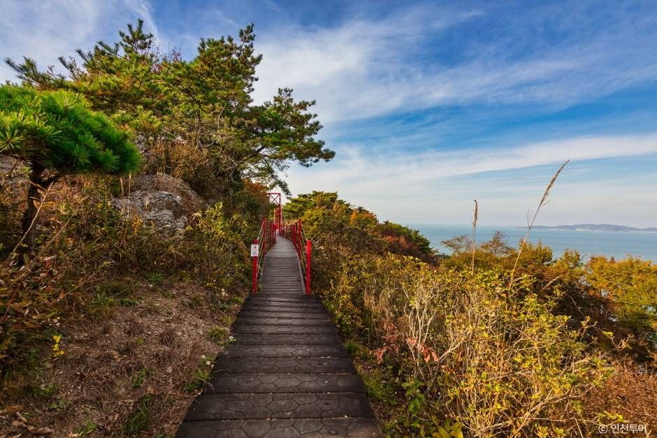 인천_부아산 구름다리 (3)