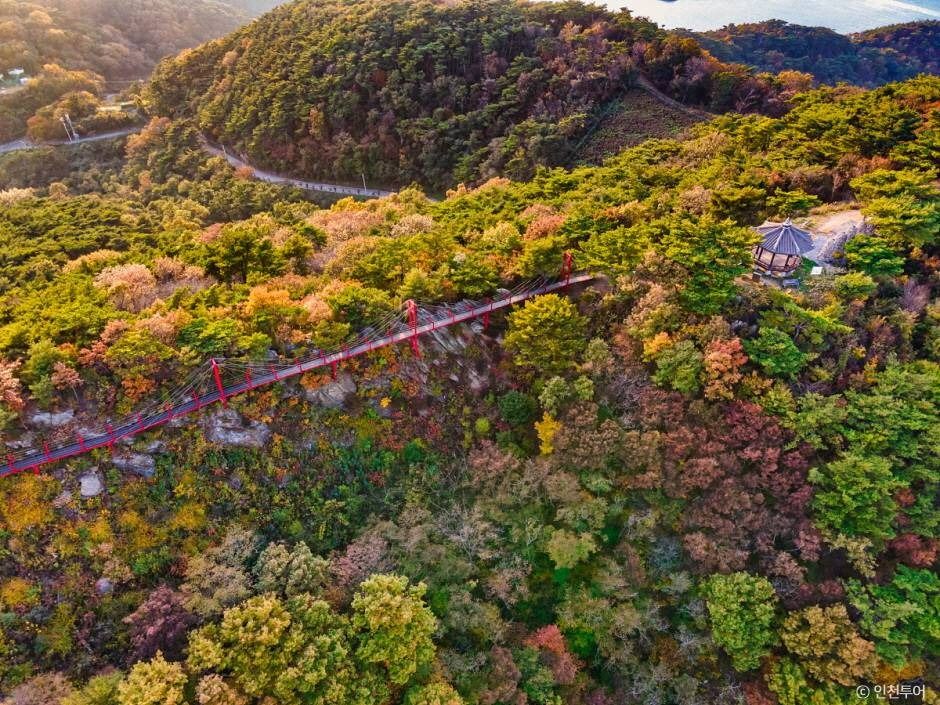 인천_부아산 구름다리 (1)