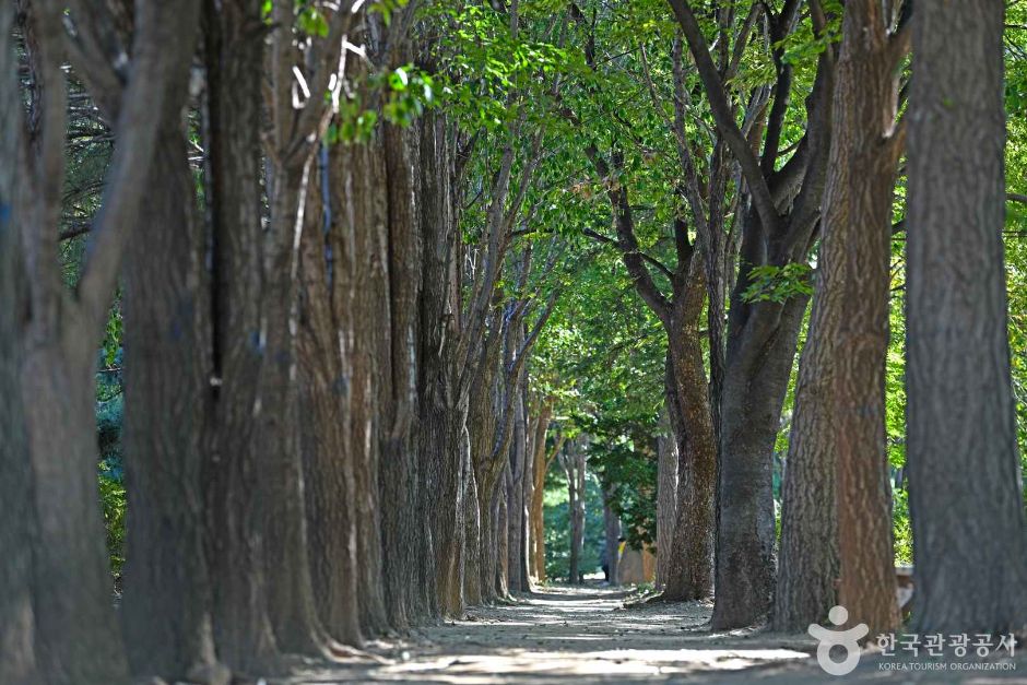 부평구_부영공원 (4)