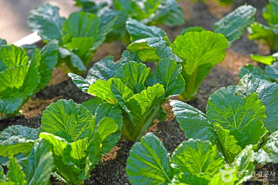 부평구_부영공원 (6)