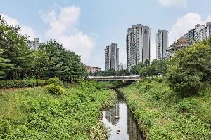 굴포천 생태하천