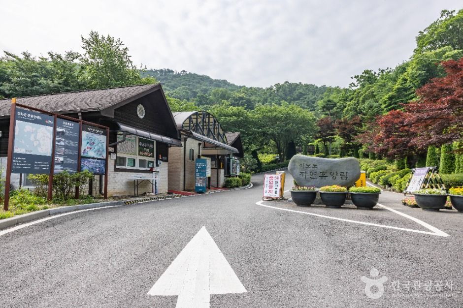 강화_석모도 자연휴양림 (1)