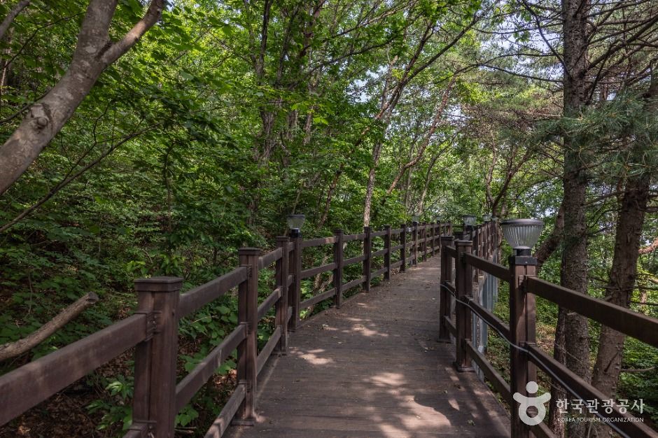강화_석모도 자연휴양림 (11)