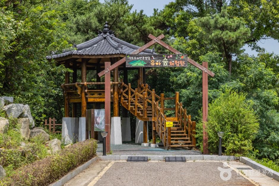 강화_석모도 자연휴양림 (14)