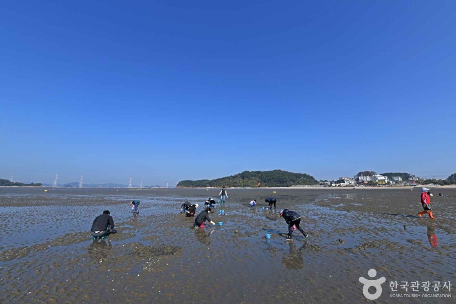 선재도(선재도 어촌체험마을) (6)