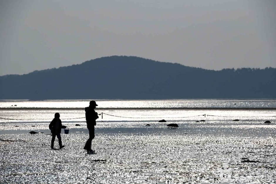 선재도(선재도 어촌체험마을) (2)