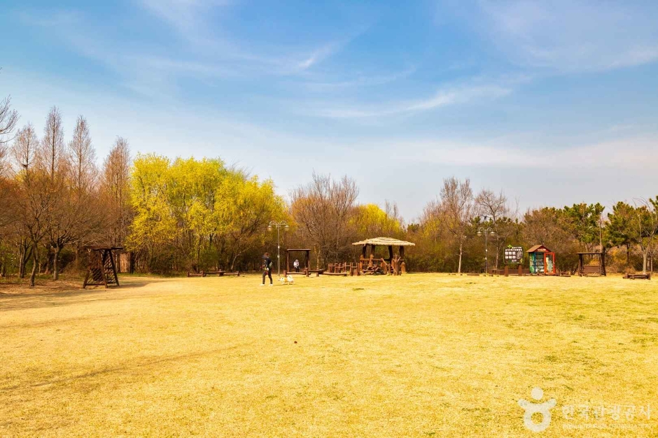 세계평화의숲 (3)