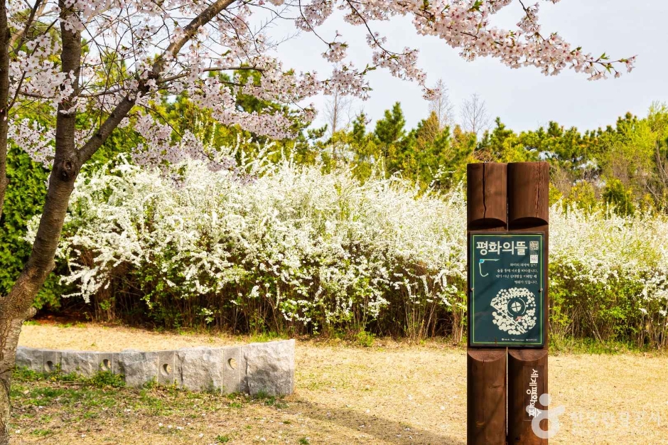 세계평화의숲 (8)