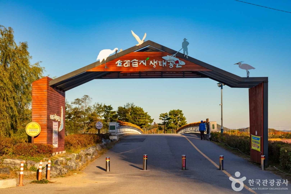 소래습지생태공원 (1)