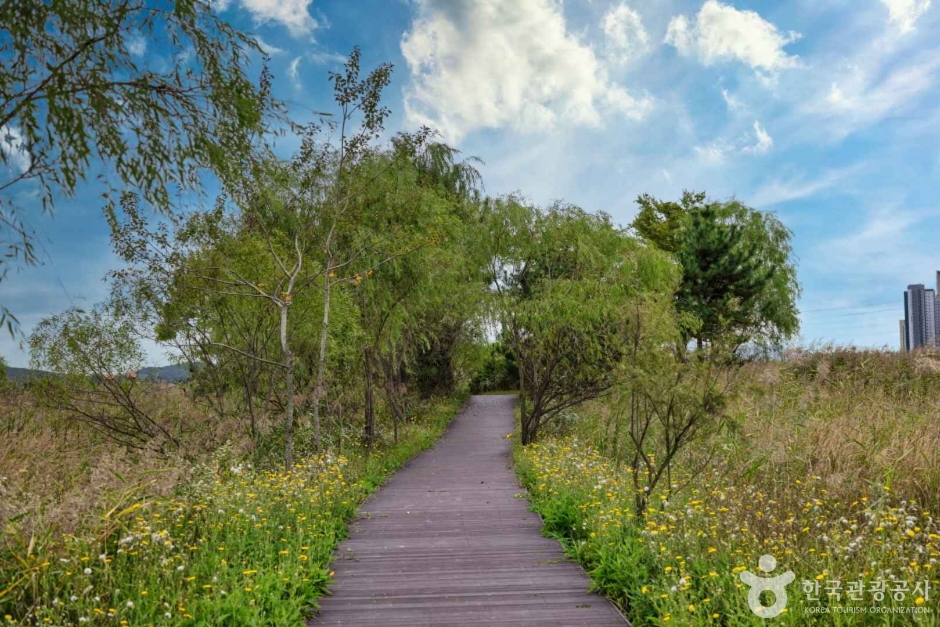 소래습지생태공원 (6)