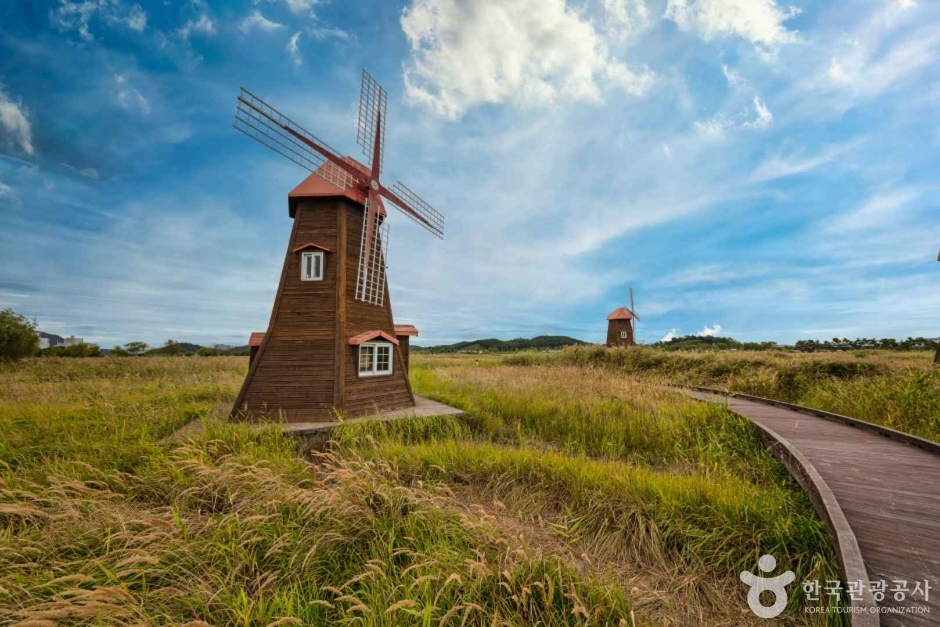 소래습지생태공원 (7)