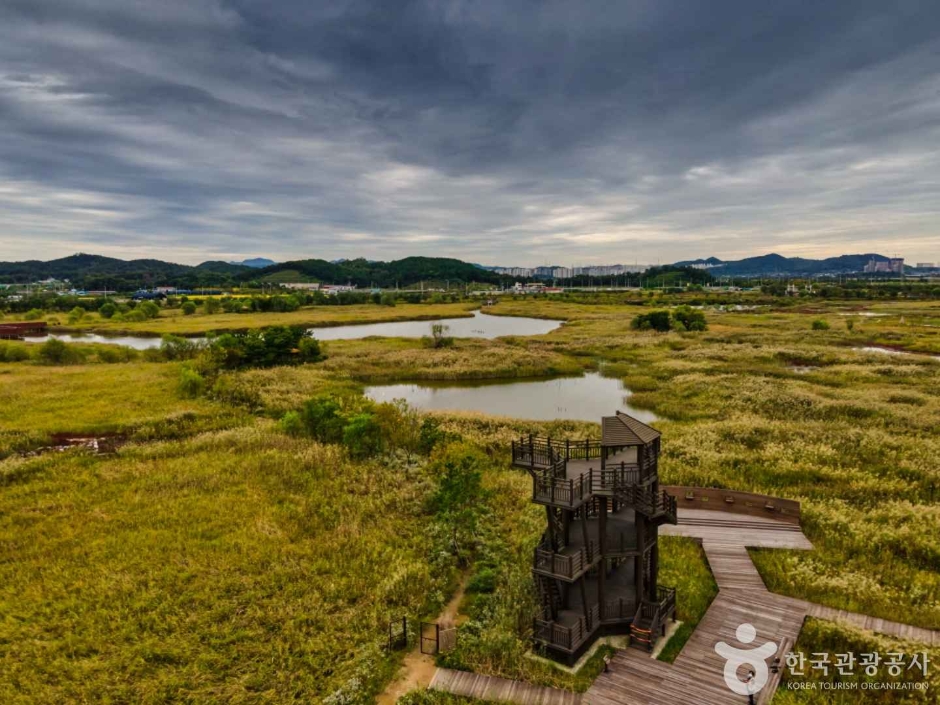 소래습지생태공원 (11)