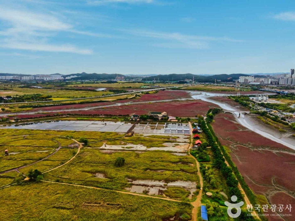 소래습지생태공원 (12)