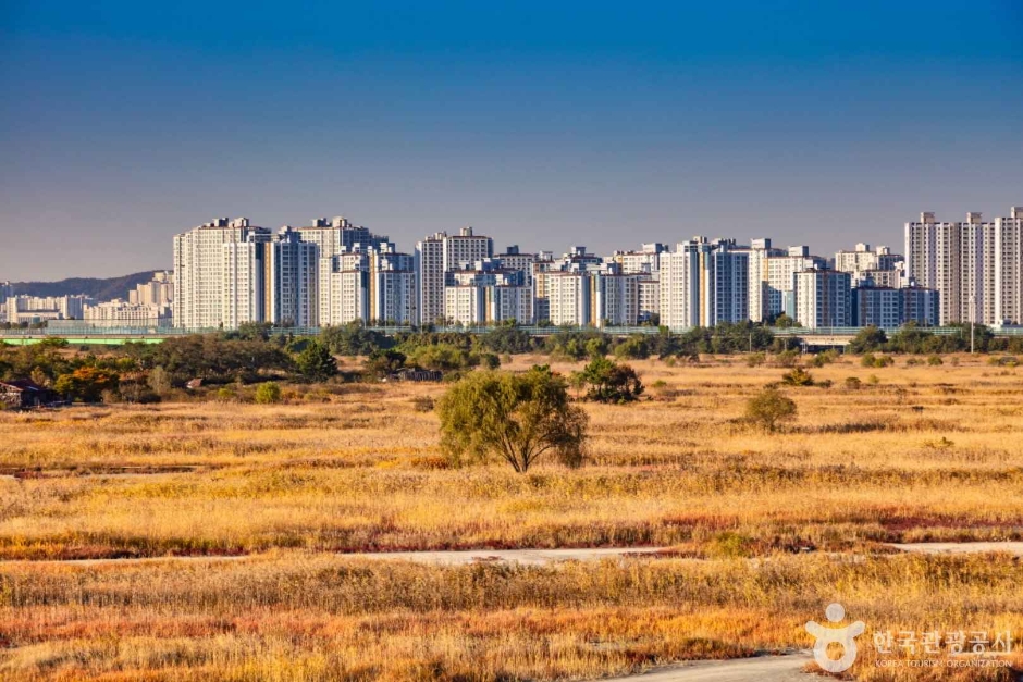 소래습지생태공원 (16)