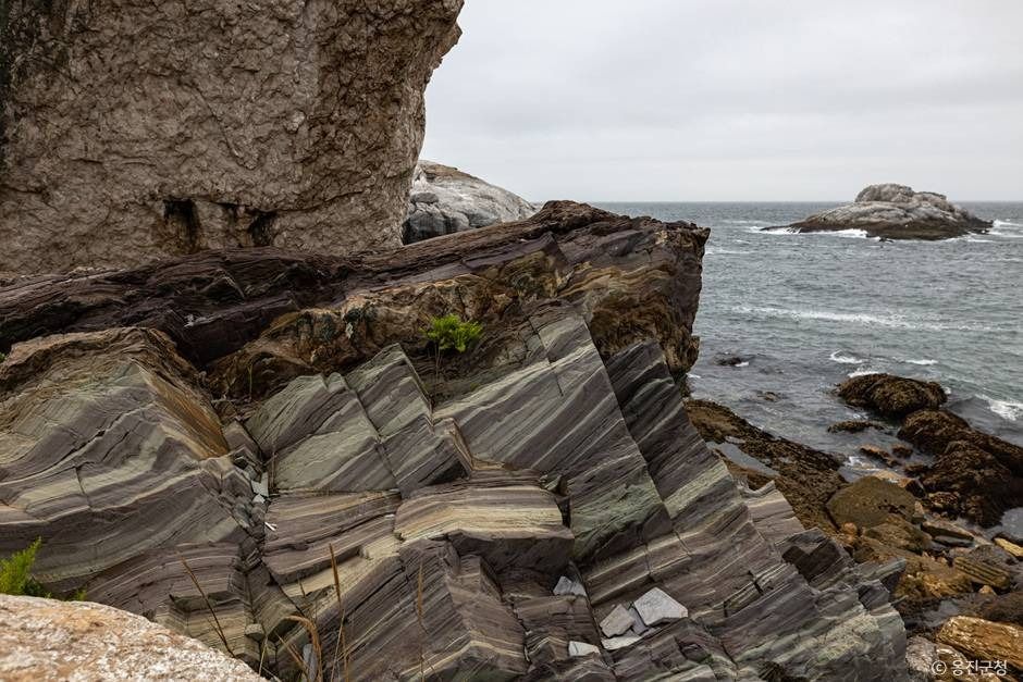 인천_소청도 (5)