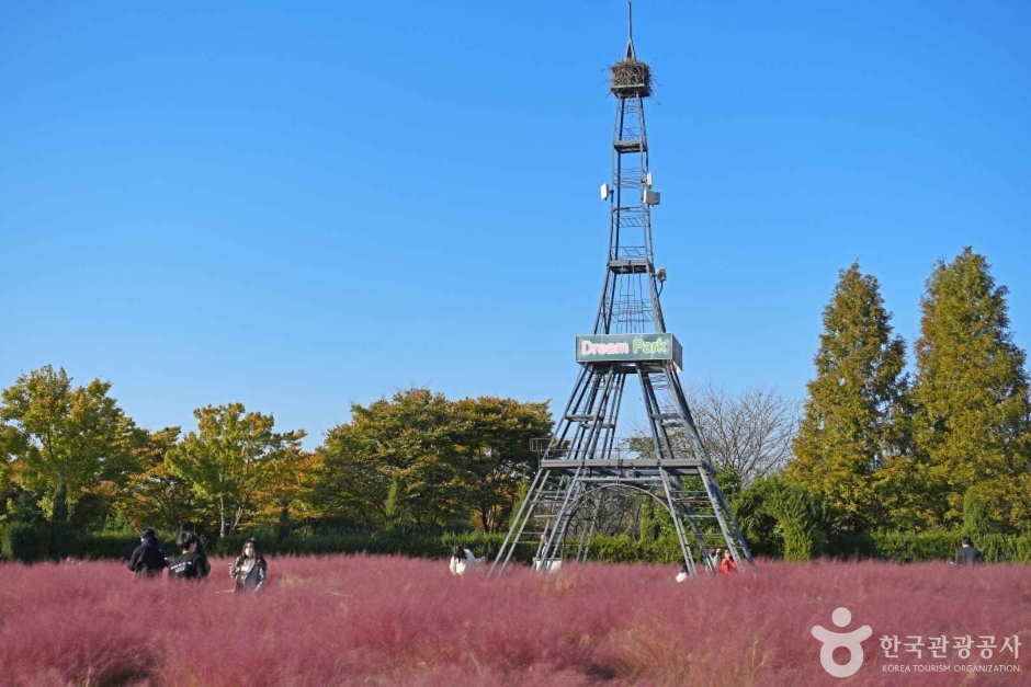 수도권매립지 야생화단지 드림파크 (1)