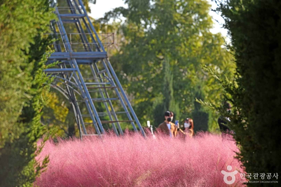 수도권매립지 야생화단지 드림파크 (2)