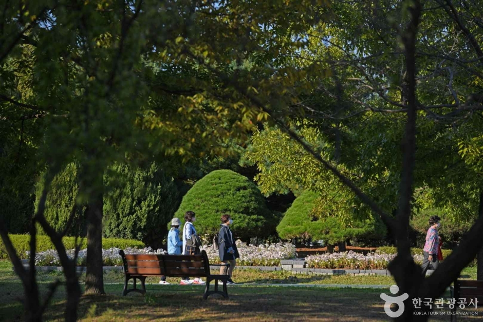 수도권매립지 야생화단지 드림파크 (4)