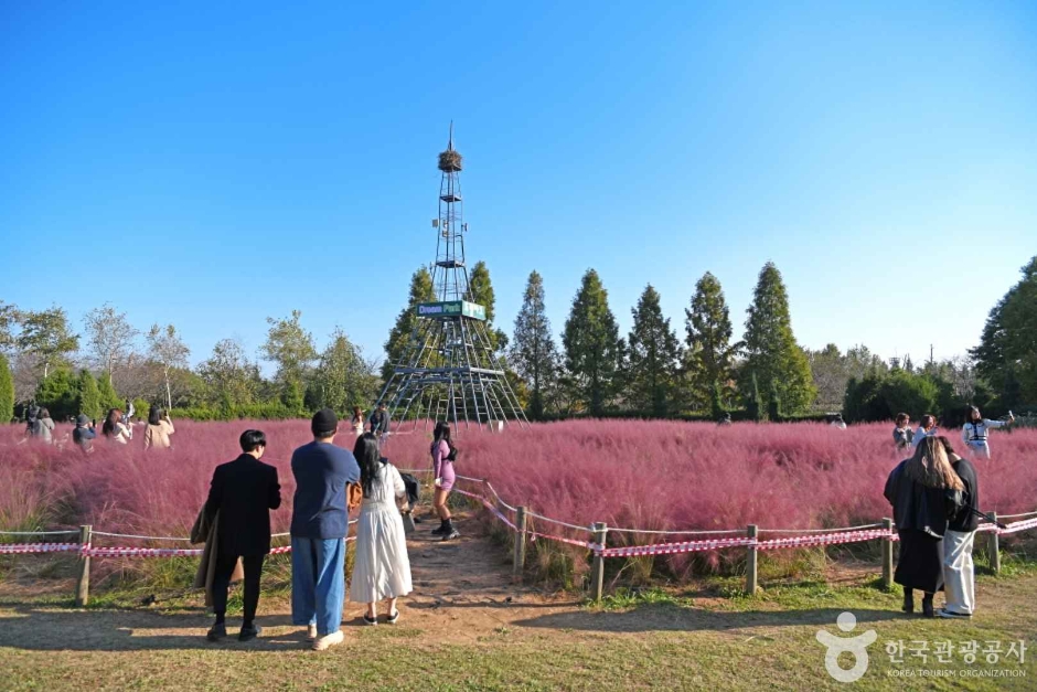 수도권매립지 야생화단지 드림파크 (5)
