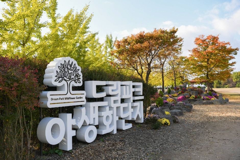 수도권매립지 드림파크 야생화단지