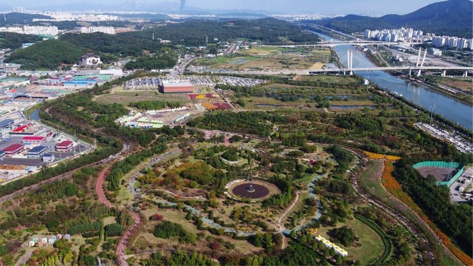 인천_수도권매립지 드림파크 야생화단지 (2)