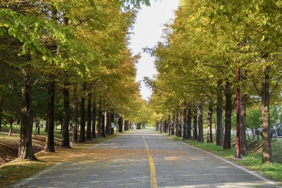 인천_수도권매립지 드림파크 야생화단지 (5)